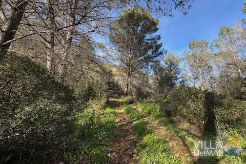 Helårsgrund i Jalon, Alicante, Jalon - € 210.000 | Ref: P-601 - foto 3